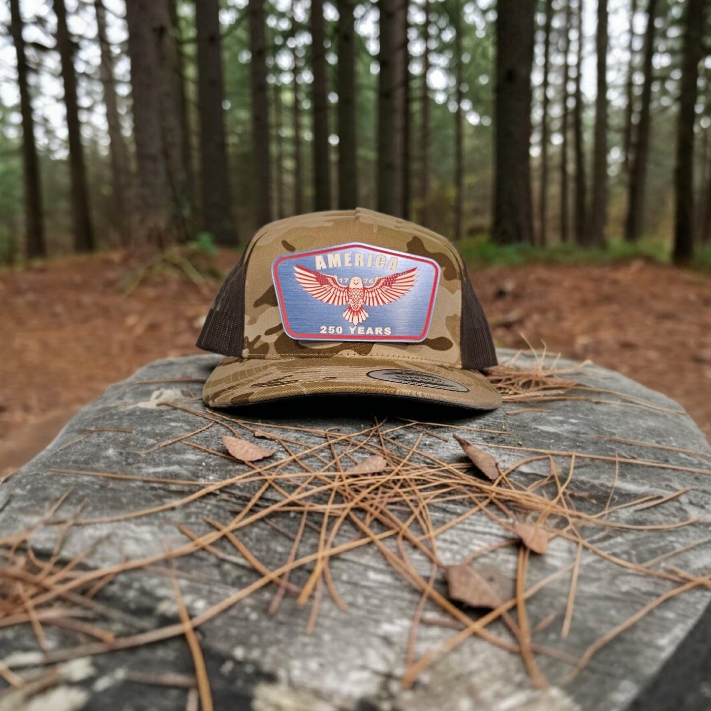 America 250 Years